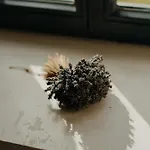 Design Amid Wild Uckermark Nature * Flieth