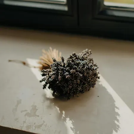 Design Amid Wild Uckermark Nature * Flieth