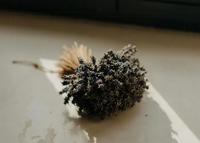 Design Amid Wild Uckermark Nature * Flieth